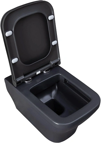 Унитаз подвесной Allen Brau Infinity 4.21011.AN с крышкой, антрацит Унитаз подвесной Allen Brau Infinity 4.21011.AN с крышкой, антрацит