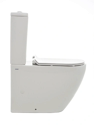 Чаша напольного унитаза AQUAme Rimless AQM1002 c сиденьем SoftClose, горизонтальный выпуск 660x360x4 Чаша напольного унитаза AQUAme Rimless AQM1002 c сиденьем SoftClose, горизонтальный выпуск 660x360x4