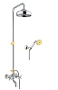 Душевая система Webert Armony AM721208017