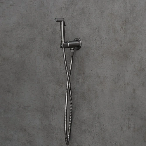 Гигиенический душ Lemark Solo LM7171GM, встраиваемый, графит Гигиенический душ Lemark Solo LM7171GM, встраиваемый, графит