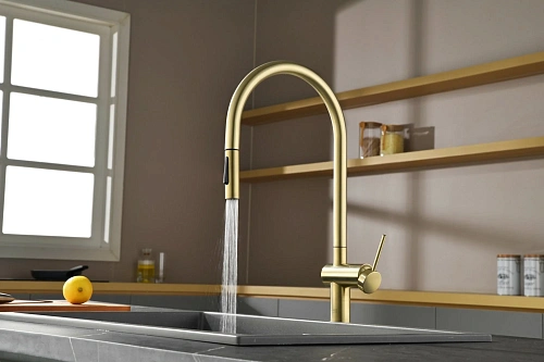 Смеситель для кухни AQUAme Cucina AQM9901BG с выдвижным изливом, золото шлифованное Смеситель для кухни AQUAme Cucina AQM9901BG с выдвижным изливом, золото шлифованное