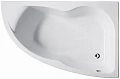 Акриловая ванна Jacob Delafon Micromega Duo 170x105 E5TN1180RU-00 правая Акриловая ванна Jacob Delafon Micromega Duo 170x105 E5TN1180RU-00 правая