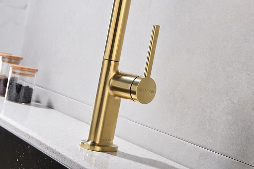 Смеситель для кухни Paulmark Neo брашированное золото Ne214419-BG Смеситель для кухни Paulmark Neo брашированное золото Ne214419-BG