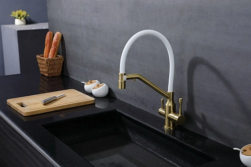 Смеситель для кухни Raglo R81.62.03 с гибким изливом с подключением к фильтру, золотой сатин Смеситель для кухни Raglo R81.62.03 с гибким изливом с подключением к фильтру, золотой сатин