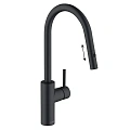 Смеситель для кухни Kludi E-GO VOICE 423006677 глубокий черный матовый Смеситель для кухни Kludi E-GO VOICE 423006677 глубокий черный матовый
