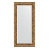 Зеркало в багетной раме Evoform Exclusive BY 3488 55 x 115 см, виньетка античная бронза
