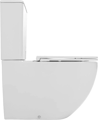 Чаша напольного унитаза Allen Brau Priority Tornado 4.31006.20 с крышкой, белый глянец Чаша напольного унитаза Allen Brau Priority Tornado 4.31006.20 с крышкой, белый глянец