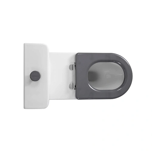 Унитаз напольный Aquatek AQ2213-00 с бачком 800x385x835 для людей с ограниченными возможностями, сиденье дюропласт Унитаз напольный Aquatek AQ2213-00 с бачком 800x385x835 для людей с ограниченными возможностями, сиденье дюропласт