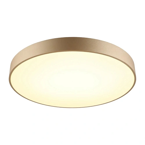 Светильник настенно-потолочный Aployt Virzhini APL.023.07.68 Светильник настенно-потолочный Aployt Virzhini APL.023.07.68