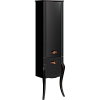 Картинка анонса товара «шкаф-пенал aqwella clarberg borgia 48 bor0548blk напольный, черный, 480х1830х350 мм»