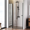 Картинка анонса товара «душевая дверь am.pm sunny w87g-120-1p-bt распашная 120x190 профиль черный, стекло прозрачное»