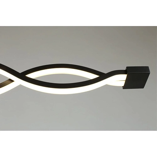 Светильник настенно-потолочный Aployt Nadayn APL.002.12.36 Светильник настенно-потолочный Aployt Nadayn APL.002.12.36