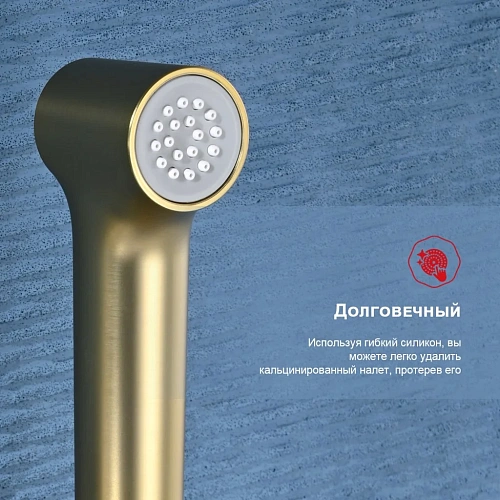 Гигиенический душ Raglo R03.51.03, золотой сатин Гигиенический душ Raglo R03.51.03, золотой сатин