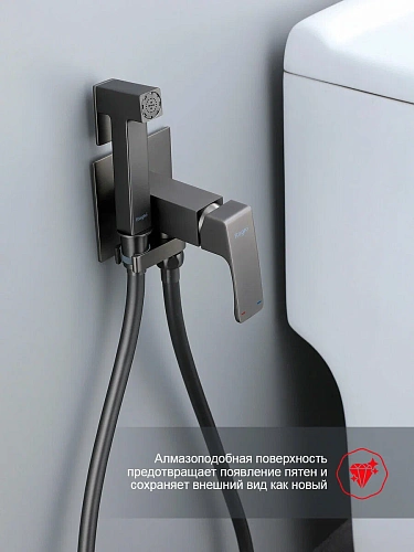 Гигиенический душ Raglo R02.54.09 встраиваемый, графит Гигиенический душ Raglo R02.54.09 встраиваемый, графит