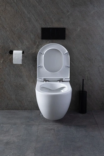 Комплект унитаза Allen Brau Reality 4.32006.20/8.9466.0.000.000.1 (00316510) с инсталляцией, белый глянец Комплект унитаза Allen Brau Reality 4.32006.20/8.9466.0.000.000.1 (00316510) с инсталляцией, белый глянец