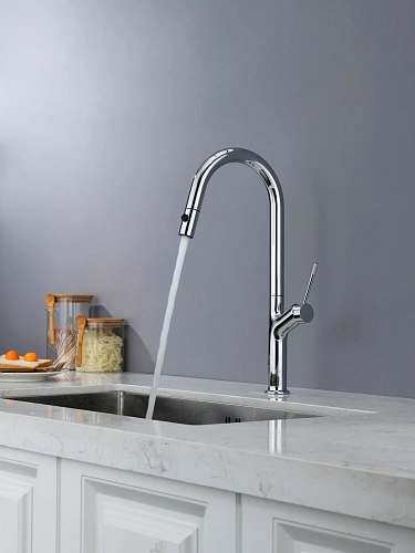 Смеситель для кухни AQUAme Cucina AQM9905CR с выдвижным изливом, с подключением к фильтру с питьевой водой, хром Смеситель для кухни AQUAme Cucina AQM9905CR с выдвижным изливом, с подключением к фильтру с питьевой водой, хром