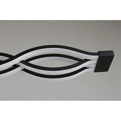 Светильник настенно-потолочный Aployt Nadayn APL.002.17.72 Светильник настенно-потолочный Aployt Nadayn APL.002.17.72