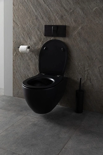 Унитаз подвесной Allen Brau Reality 4.32006.31 с крышкой, черный матовый Унитаз подвесной Allen Brau Reality 4.32006.31 с крышкой, черный матовый