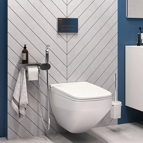 Унитаз подвесной AM.PM Inspire V2.0 CK50H0603W с гигиеническим душем с сиденьем Унитаз подвесной AM.PM Inspire V2.0 CK50H0603W с гигиеническим душем с сиденьем