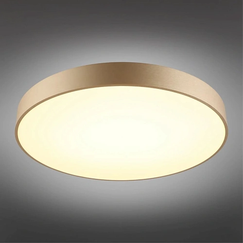 Светильник настенно-потолочный Aployt Virzhini APL.023.07.68 Светильник настенно-потолочный Aployt Virzhini APL.023.07.68