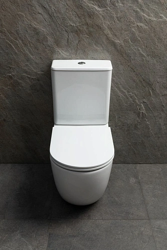 Чаша напольного унитаза Allen Brau Priority Tornado 4.31006.20 с крышкой, белый глянец Чаша напольного унитаза Allen Brau Priority Tornado 4.31006.20 с крышкой, белый глянец