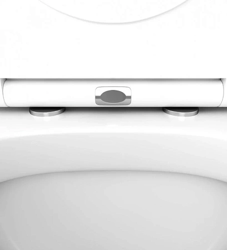 Комплект унитаза AM.PM Spirit V2.0 FlashClean IS49001.701738 с инсталляцией, сиденьем микролифт и клавишей смыва Комплект унитаза AM.PM Spirit V2.0 FlashClean IS49001.701738 с инсталляцией, сиденьем микролифт и клавишей смыва