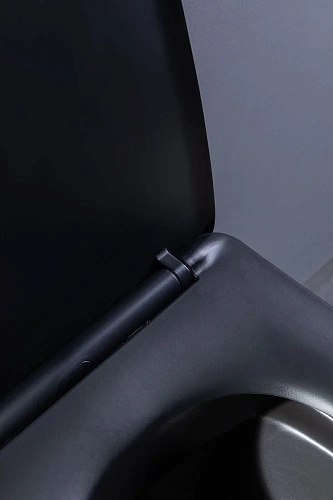 Унитаз подвесной Aquanet Rimless Tavr-W BL-103N-WHT black черный матовый TAVR-W BW с сиденьем Унитаз подвесной Aquanet Rimless Tavr-W BL-103N-WHT black черный матовый TAVR-W BW с сиденьем