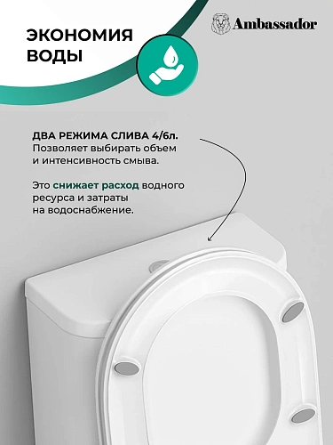 Унитаз напольный Ambassador Abner 107K19001RS (670x360x780) безободковый, с тонкой крышкой Унитаз напольный Ambassador Abner 107K19001RS (670x360x780) безободковый, с тонкой крышкой