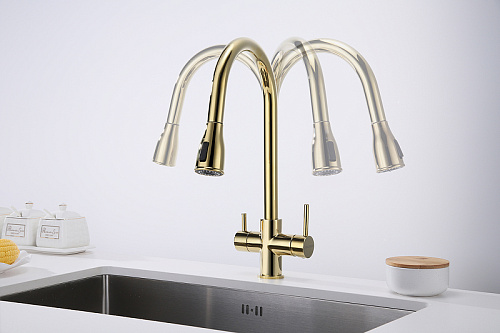Смеситель для кухни Paulmark Lange золото La214212-G Смеситель для кухни Paulmark Lange золото La214212-G