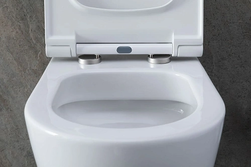 Комплект унитаза Allen Brau Priority 00301296/8.9466.0.000.000.1 (00316508) с инсталляцией, белый глянец Комплект унитаза Allen Brau Priority 00301296/8.9466.0.000.000.1 (00316508) с инсталляцией, белый глянец