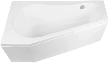 Экран для ванны фронтальный Aquanet Brize 160 00213350 Экран для ванны фронтальный Aquanet Brize 160 00213350