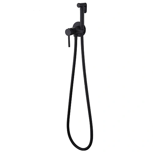 Гигиенический душ ABBER Wasser Kreis AF8125B черный матовый Гигиенический душ ABBER Wasser Kreis AF8125B черный матовый