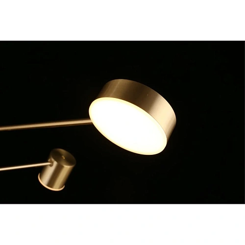 Люстра потолочная Aployt Frania APL.017.17.48 Люстра потолочная Aployt Frania APL.017.17.48