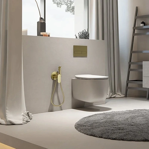 Гигиенический душ Raglo R10.52.03 встраиваемый, сатин золотой Гигиенический душ Raglo R10.52.03 встраиваемый, сатин золотой