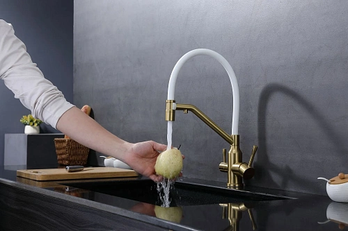 Смеситель для кухни Raglo R81.62.03 с гибким изливом с подключением к фильтру, золотой сатин Смеситель для кухни Raglo R81.62.03 с гибким изливом с подключением к фильтру, золотой сатин