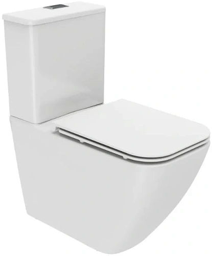 Чаша напольного унитаза Allen Brau Liberty 4.33013.20 с крышкой, белый Чаша напольного унитаза Allen Brau Liberty 4.33013.20 с крышкой, белый