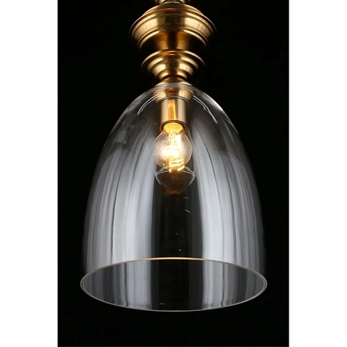 Светильник подвесной Aployt Rena APL.602.16.01 Светильник подвесной Aployt Rena APL.602.16.01