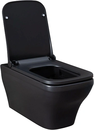 Унитаз подвесной Allen Brau Infinity 4.21011.31 с крышкой, черный матовый Унитаз подвесной Allen Brau Infinity 4.21011.31 с крышкой, черный матовый