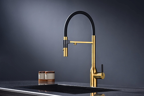 Смеситель для кухни Paulmark Magneto One брашированное золото Ma213188-BG Смеситель для кухни Paulmark Magneto One брашированное золото Ma213188-BG