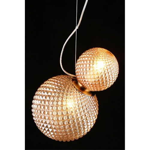 Светильник подвесной Aployt Patunia APL.301.16.02 Светильник подвесной Aployt Patunia APL.301.16.02