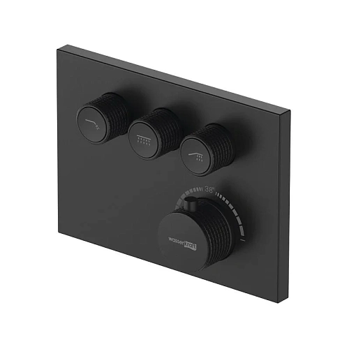 Смеситель для душа WasserKRAFT Elbe 7458 Thermo термостатический черный Смеситель для душа WasserKRAFT Elbe 7458 Thermo термостатический черный