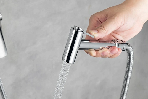 Гигиенический душ Aquatek ВЕГА AQ1019CR хром Гигиенический душ Aquatek ВЕГА AQ1019CR хром