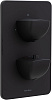 Картинка анонса товара «смеситель для ванны allen brau infinity 5.21216-31 (с внутренней частью, 2 выхода) черный матовый»