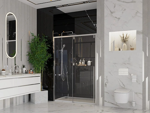 Душевая дверь Ambassador Intense 110021101IX (1200x2000) Душевая дверь Ambassador Intense 110021101IX (1200x2000)