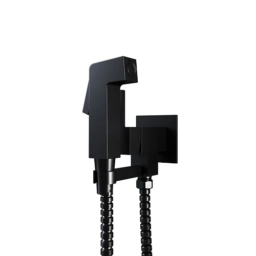 Гигиенический душ Paini Bella BLPZ442 встраиваемый, лейка ABS, черный матовый PVD Гигиенический душ Paini Bella BLPZ442 встраиваемый, лейка ABS, черный матовый PVD