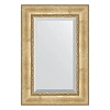 Зеркало в багетной раме Evoform Exclusive BY 3428 62 x 92 см, состаренное серебро с орнаментом Зеркало в багетной раме Evoform Exclusive BY 3428 62 x 92 см, состаренное серебро с орнаментом