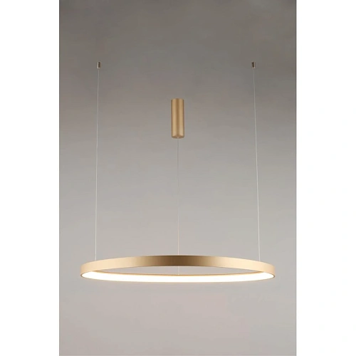 Люстра подвесная Aployt Zula APL.022.03.60 Люстра подвесная Aployt Zula APL.022.03.60