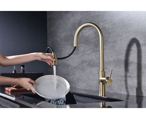 Смеситель для кухни Paulmark GALANT Ga213077-LG светлое золото Смеситель для кухни Paulmark GALANT Ga213077-LG светлое золото