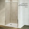 Картинка анонса товара «душевая дверь rgw passage pa-017 1200 мм easy clean хром 359001712-11 с поддоном»