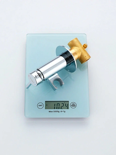 Гигиенический душ Raglo R20.54 встраиваемый, хром Гигиенический душ Raglo R20.54 встраиваемый, хром